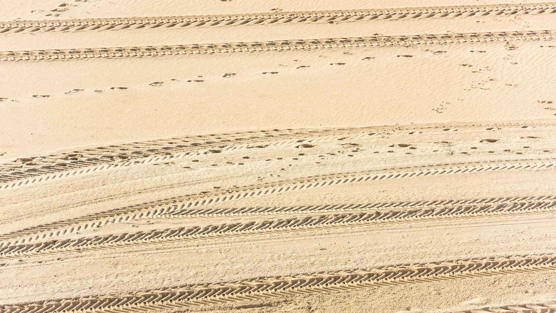 Sand Paddle Tire Rentals
